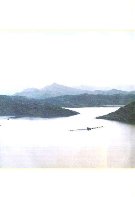 《达州水利志(1949-2006)》.pdf电子版_四川省志预览图2