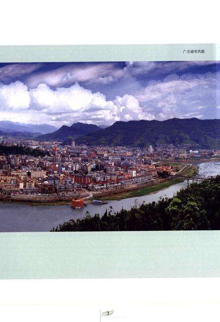 《广元市烟草志》.pdf电子版_四川省志预览图4