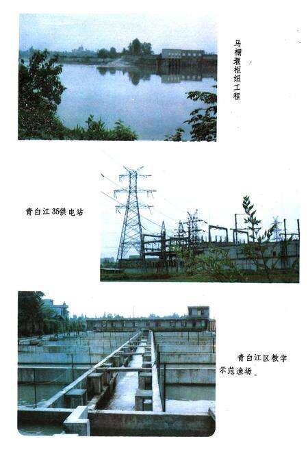 《成都市青白江区水利志》.pdf电子版_四川省志预览图4