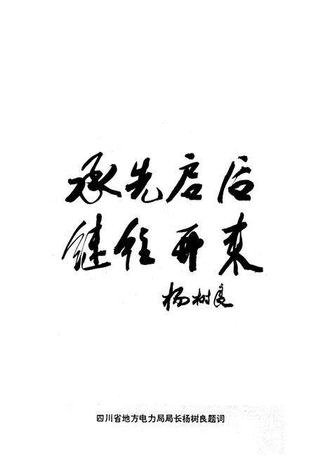 《三台县电力公司志(1986-1993)》.pdf电子版_四川省志预览图3