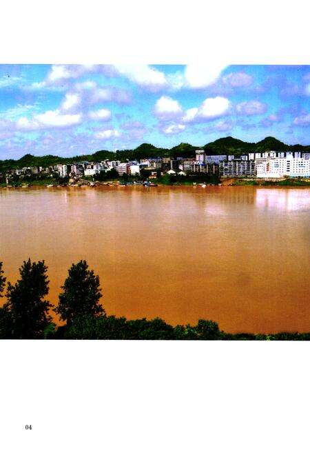 《渠县志(1986-2005)》.pdf电子版_四川省志预览图4