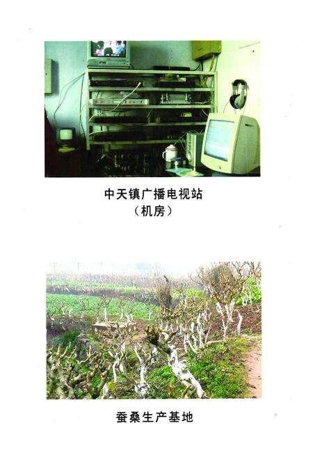 《《乐至县中天镇志(1949.10-2005.12)》》.pdf电子版_四川省志预览图5