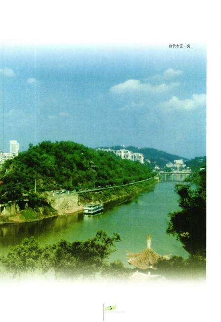 《自贡市烟草志》.pdf电子版_四川省志预览图4