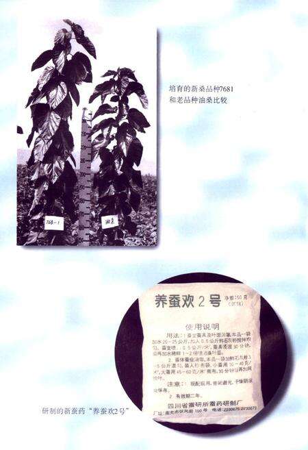 《四川省农业科学院蚕业研究所所志》.pdf电子版_四川省志预览图5