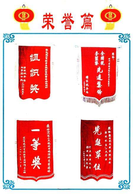 《雅安市国税志(1991-2001)》.pdf电子版_四川省志预览图2
