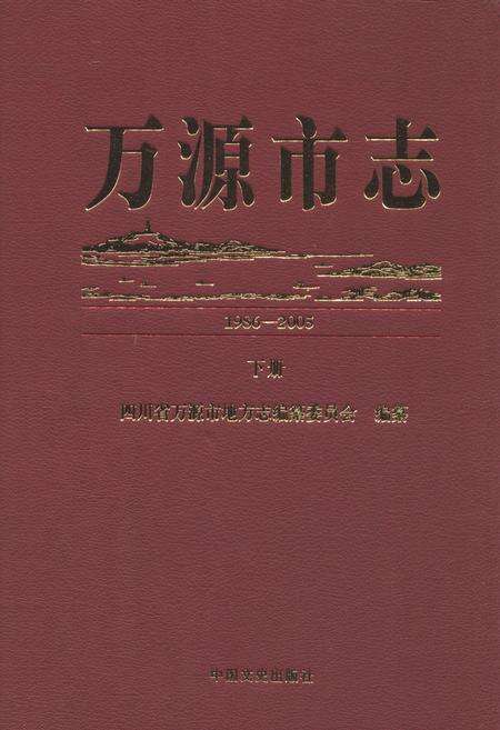 《万源市志(1986-2005)下册》.pdf电子版_四川省志缩略图