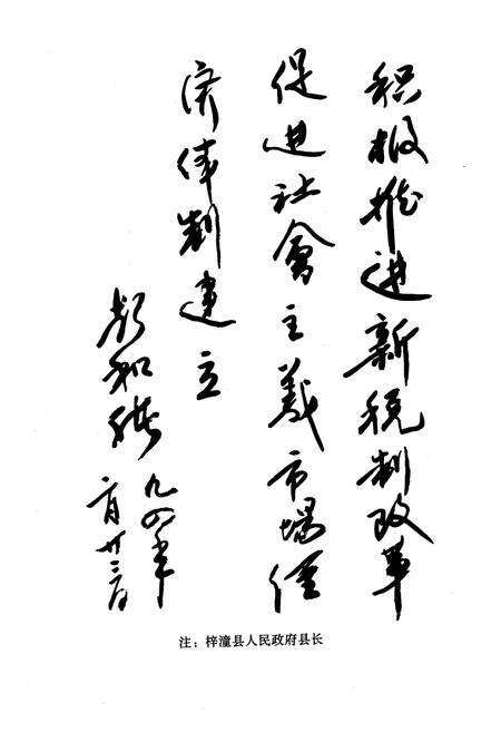 《梓潼县税务志(1912年-1990年)》.pdf电子版_四川省志预览图5