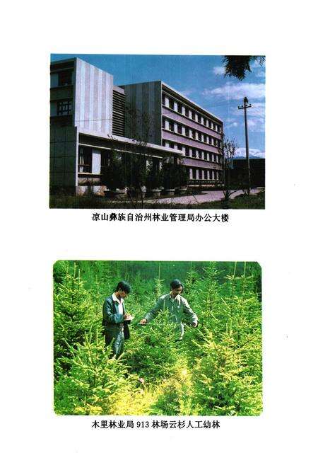 《凉山彝族自治州林业管理局志》.pdf电子版_四川省志预览图5