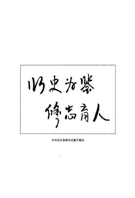 《合江县政协志(1957.6-2006.6)》.pdf电子版_四川省志预览图5