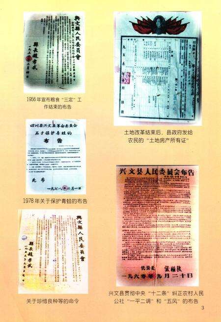 《兴文县农业志》.pdf电子版_四川省志预览图4