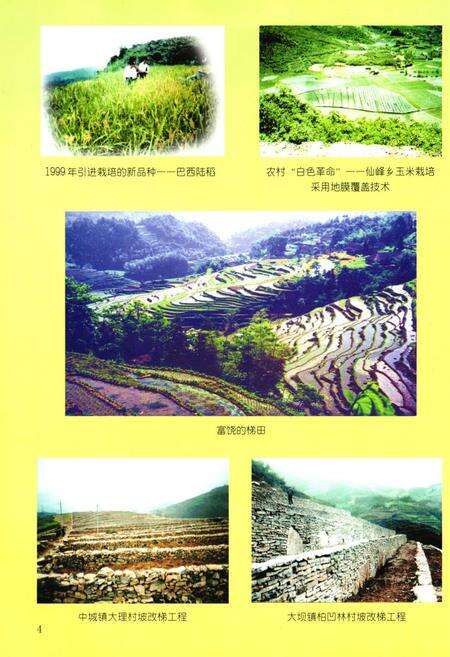 《兴文县农业志》.pdf电子版_四川省志预览图5