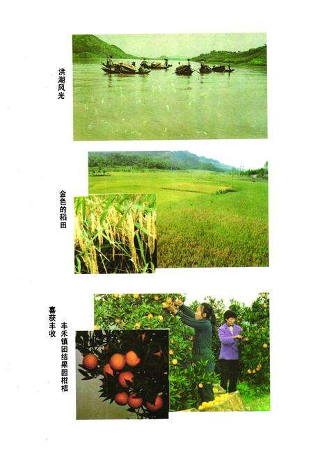 《邻水县人民政府志》.pdf电子版_四川省志预览图5