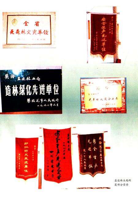 《《攀枝花市盐边林业局志》》.pdf电子版_四川省志预览图4