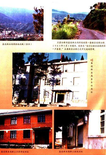 《《攀枝花市盐边林业局志》》.pdf电子版_四川省志预览图5