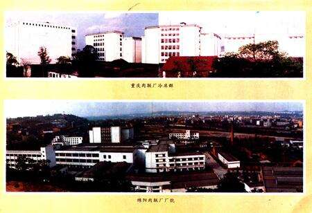 《《四川肉禽蛋商业志(1954-1988)》》.pdf电子版_四川省志预览图4