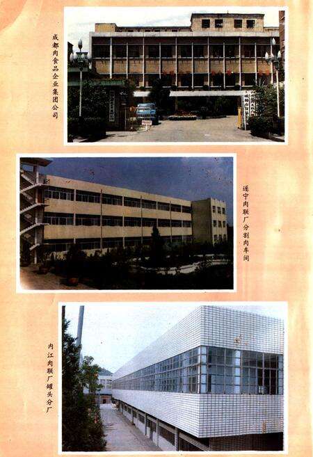 《《四川肉禽蛋商业志(1954-1988)》》.pdf电子版_四川省志预览图5