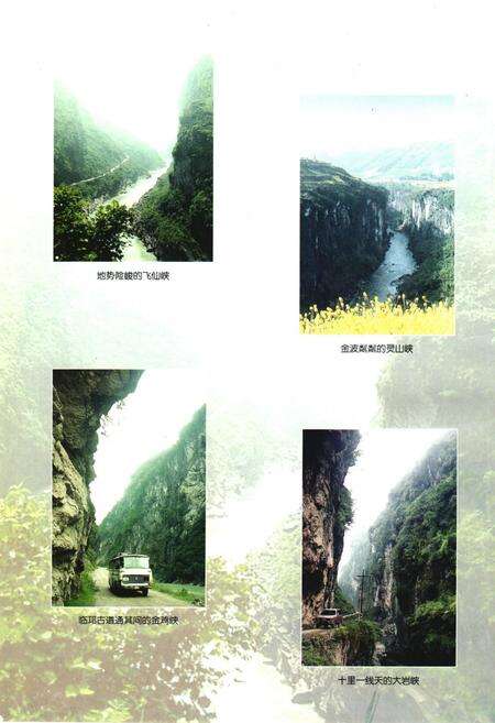 《芦山县志》.pdf电子版_四川省志预览图5