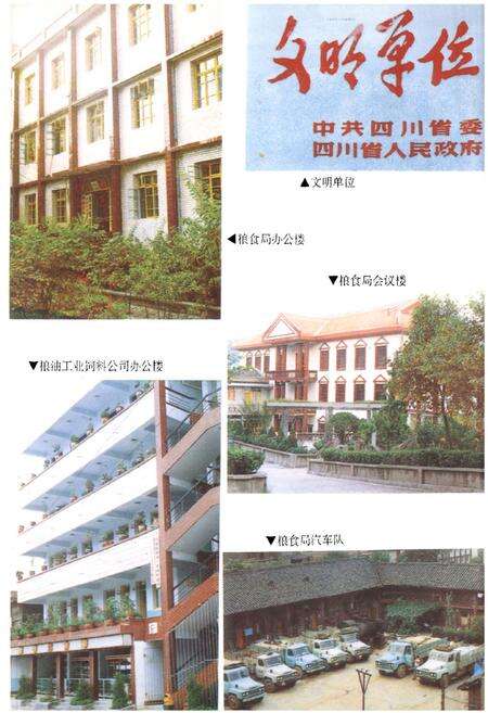 《《剑阁县粮油志》》.pdf电子版_四川省志预览图4