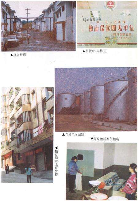 《《剑阁县粮油志》》.pdf电子版_四川省志预览图5