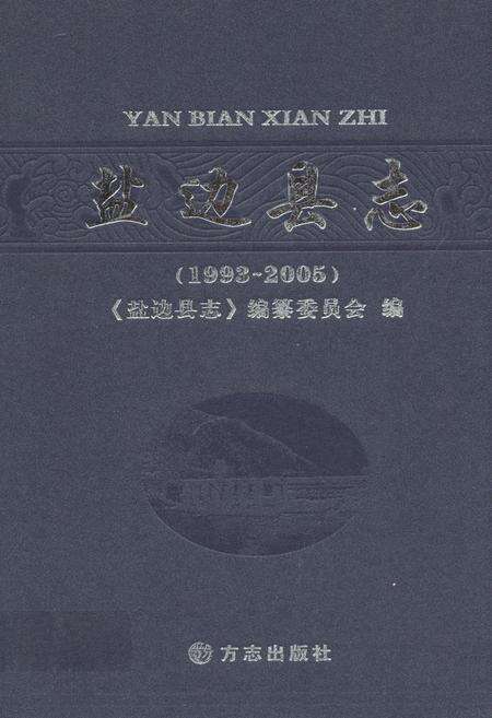 《《盐边县志(1993-2005)》》.pdf电子版_四川省志缩略图