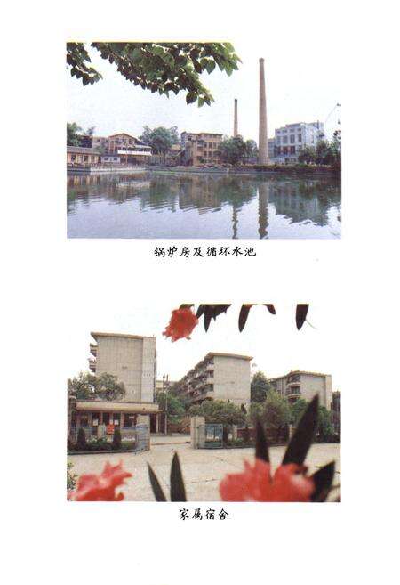 《《农业部成都药械厂志(1936-1988)》》.pdf电子版_四川省志预览图4