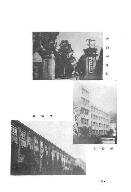 《《四川省林业学校校志》》.pdf电子版_四川省志预览图3