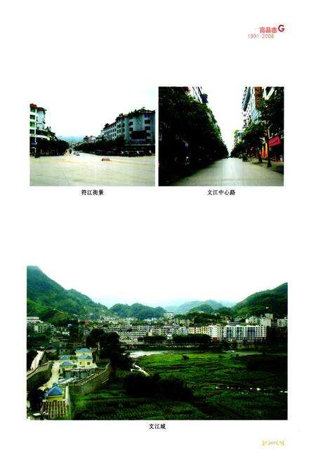 《高县志(1991-2008)》.pdf电子版_四川省志预览图4