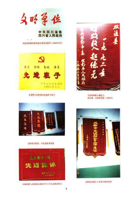 《双流县财政志(2005年本)》.pdf电子版_四川省志预览图5