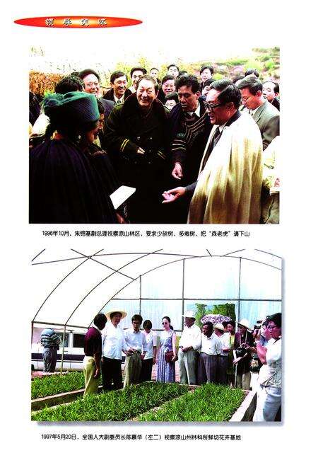 《凉山彝放自治州林业志》.pdf电子版_四川省志预览图4