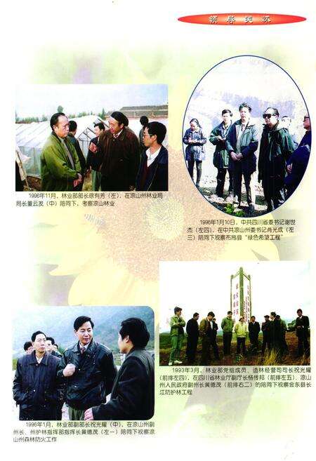 《凉山彝放自治州林业志》.pdf电子版_四川省志预览图5