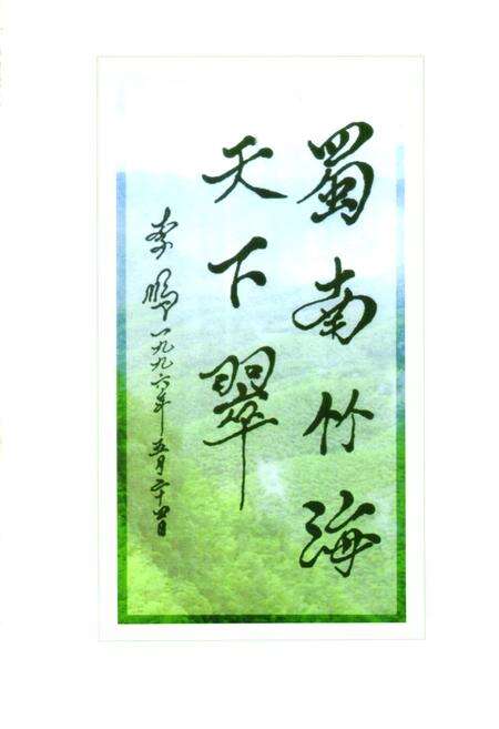 《长宁县志(1986-2000)》.pdf电子版_四川省志预览图2