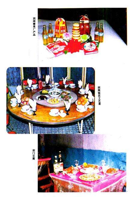 《剑阁县商业志》.pdf电子版_四川省志预览图5