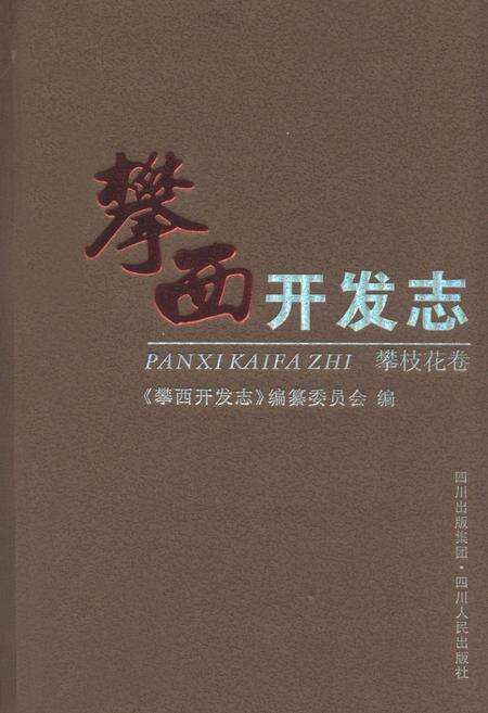 《攀西开发志(攀枝花卷)》.pdf电子版_四川省志缩略图