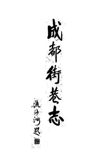 《成都街巷志(上卷)》.pdf电子版_四川省志预览图2