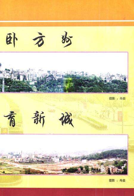 《仪陇县人民政府志(1985-2002)》.pdf电子版_四川省志预览图5