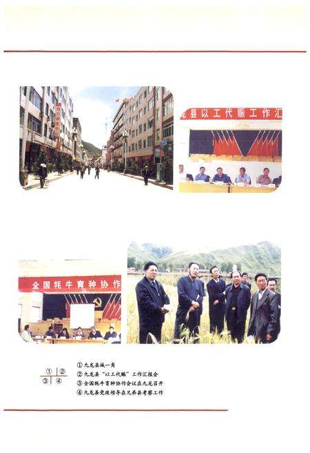 《九龙县志·续篇(1986-2000年)》.pdf电子版_四川省志预览图5