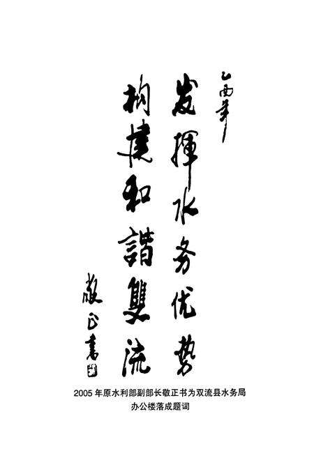 《双流县水利志(2005年本)》.pdf电子版_四川省志预览图2