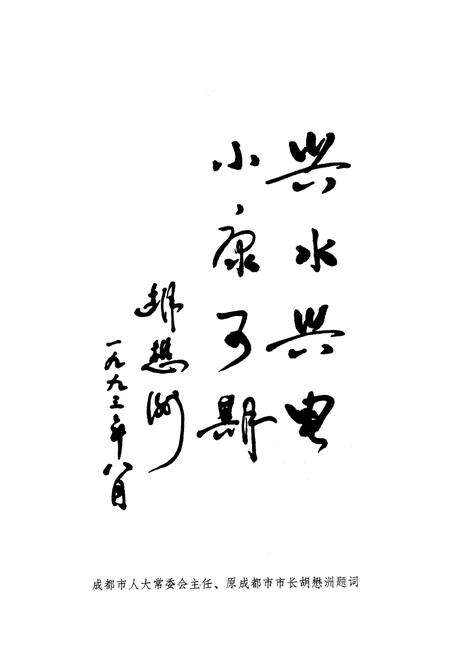 《大邑县电力志》.pdf电子版_四川省志预览图3