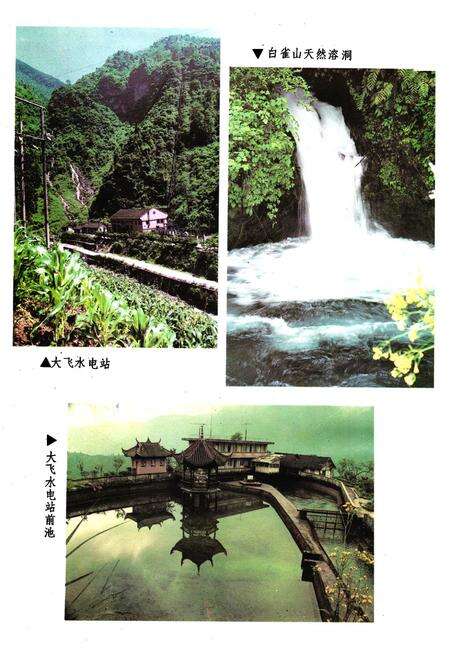 《大邑县电力志》.pdf电子版_四川省志预览图5