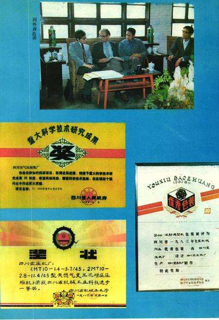 《川压厂志(1966-1985)》.pdf电子版_四川省志预览图4