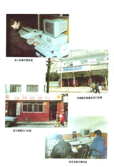 《宜宾县金融志》.pdf电子版_四川省志预览图3