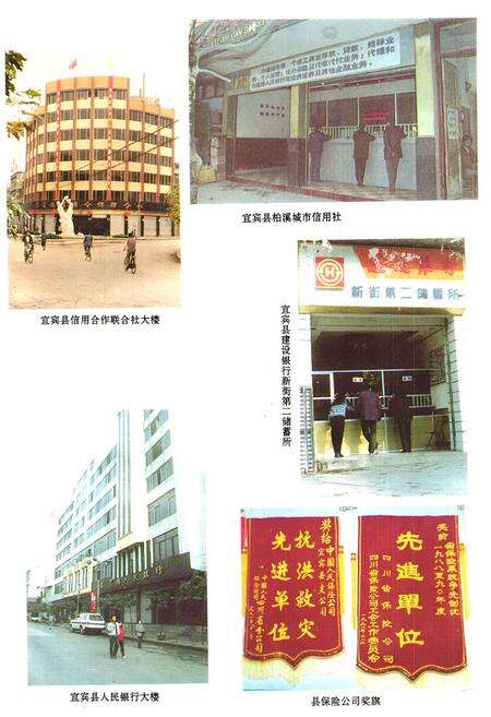 《宜宾县金融志》.pdf电子版_四川省志预览图4