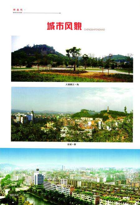 《荣县志(1986~2008)》.pdf电子版_四川省志预览图5