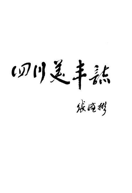 《《四川美丰志(1974-2009)》》.pdf电子版_四川省志预览图4