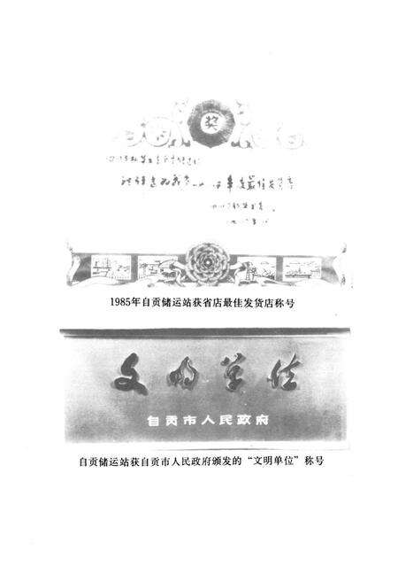《自贡市图书发行志(1864-1985)》.pdf电子版_四川省志预览图5