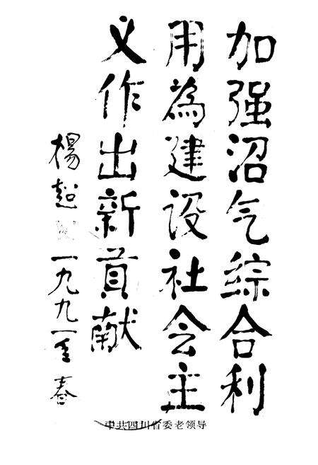 《四川省沼气志》.pdf电子版_四川省志预览图1