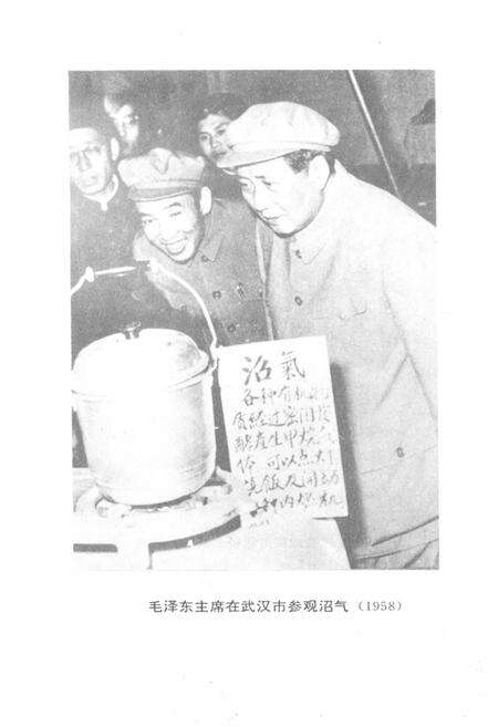 《四川省沼气志》.pdf电子版_四川省志预览图2