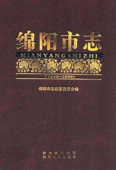 《绵阳市志(1840-2000)下》.pdf电子版_四川省志缩略图