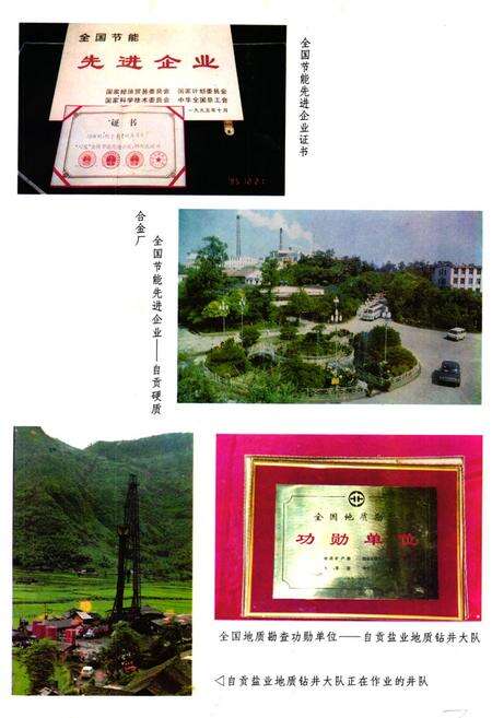《《自贡市能源志》》.pdf电子版_四川省志预览图3