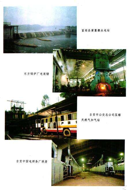 《《自贡市能源志》》.pdf电子版_四川省志预览图5